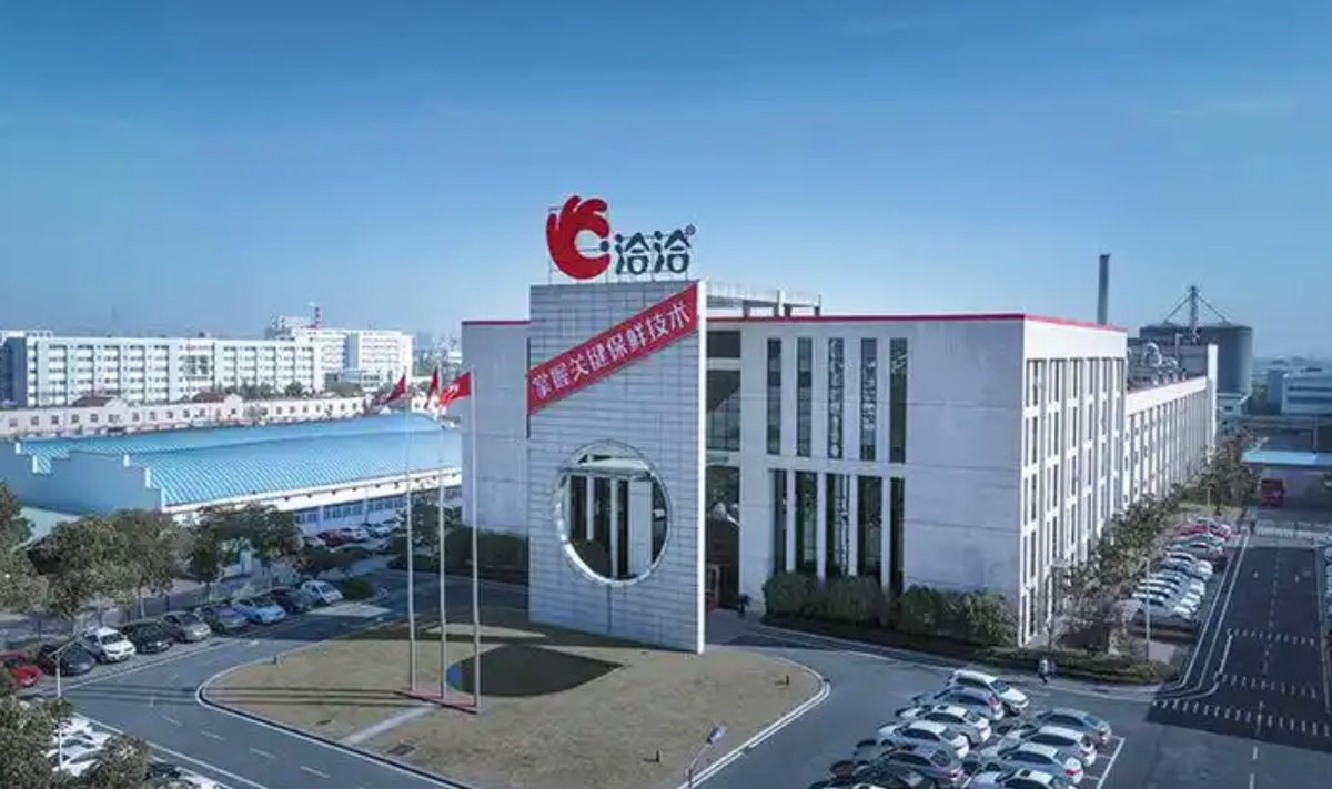 瓜子大王洽洽食品不好当了